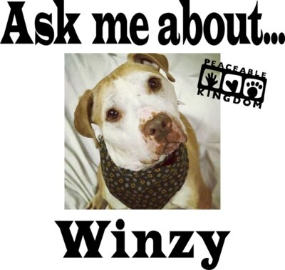 Winzy