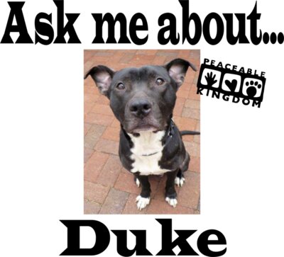 ask me about Duke